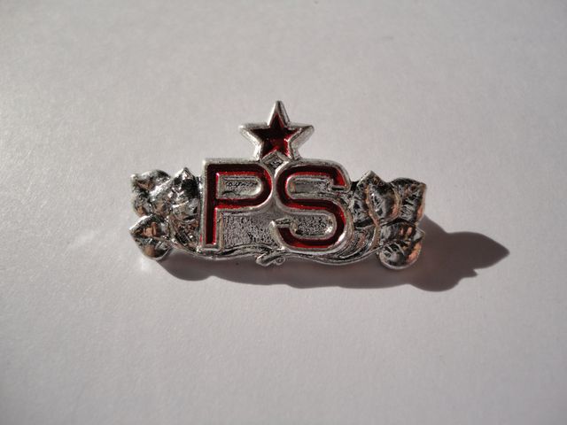 Odznak vojenský PS
