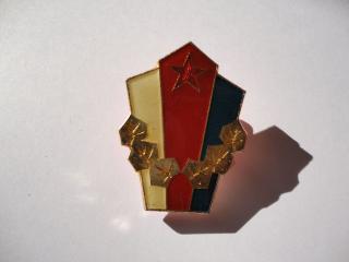 Odznak vojenský-Vzorná jednotka
